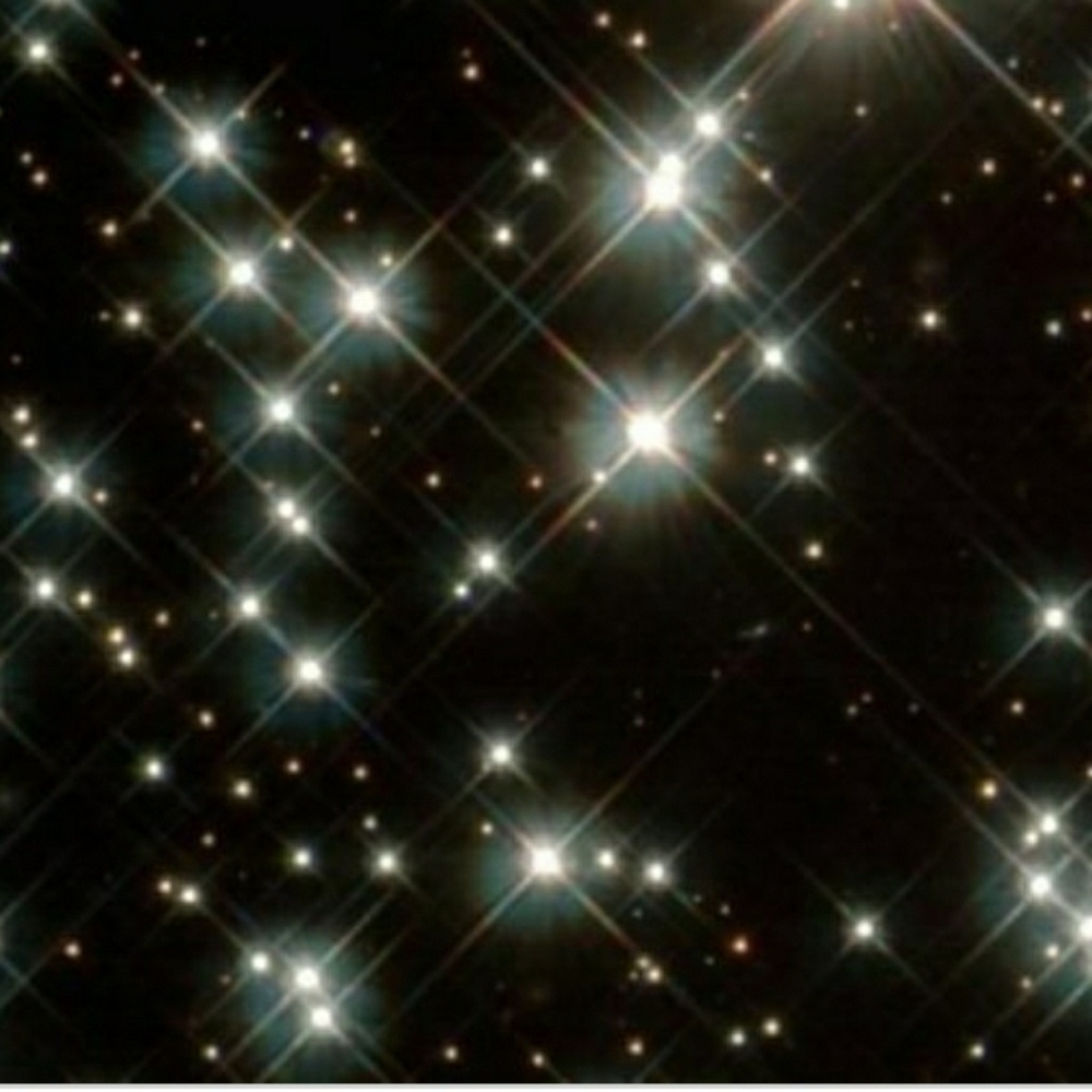 Meet your Posher, Kathryn